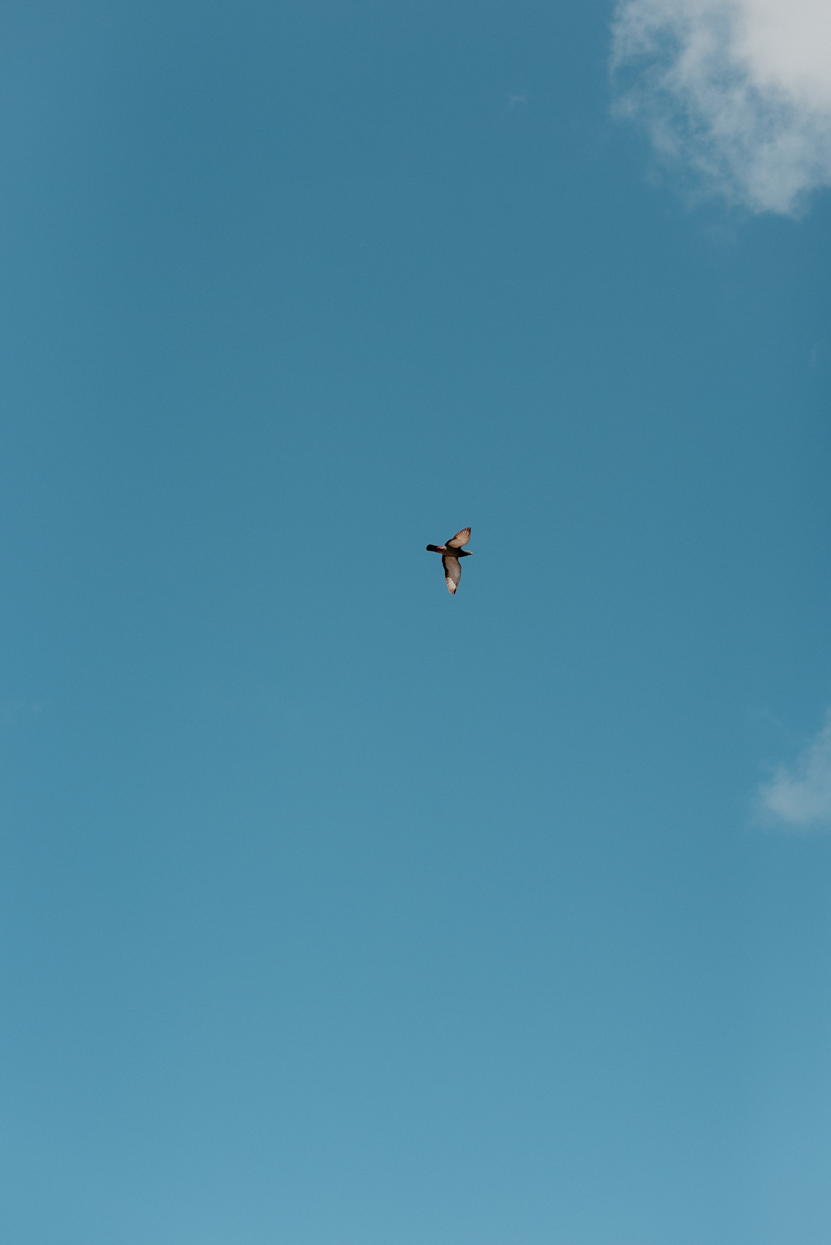 FOTOGRAFO EM JOÃO PESSOA - CASAMENTO EM JOÃO PESSOA. - PRAIA DE JOÃO PESSOA - CASAMENTO NA PRAIA - FOTOGRAFO - CASAL - FOTOS NA PRAIA DE JOÃO PESSOA 
CASAL JOAO PESSOA