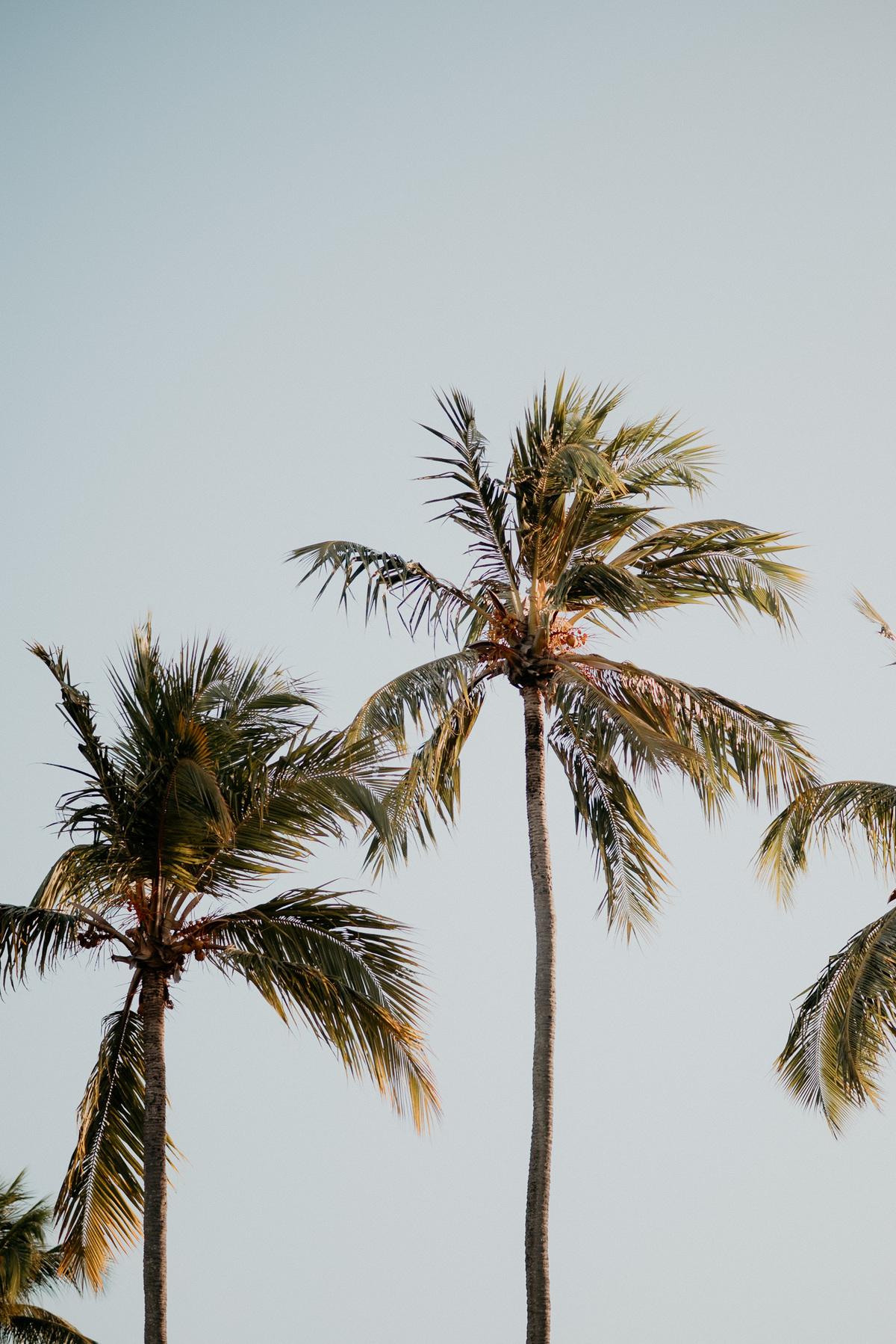 FOTOGRAFO EM JOÃO PESSOA - CASAMENTO EM JOÃO PESSOA. - PRAIA DE JOÃO PESSOA - CASAMENTO NA PRAIA - FOTOGRAFO - CASAL - FOTOS NA PRAIA DE JOÃO PESSOA 
CASAL JOAO PESSOA