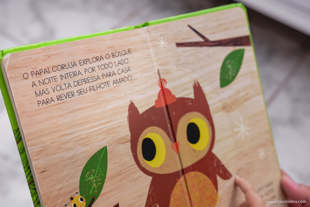 Aniversário infantil em casa, avós , tios, mamae e papai fotografia infantil em casa, festa em casa. fotografo Tárcio silva , festa em casa