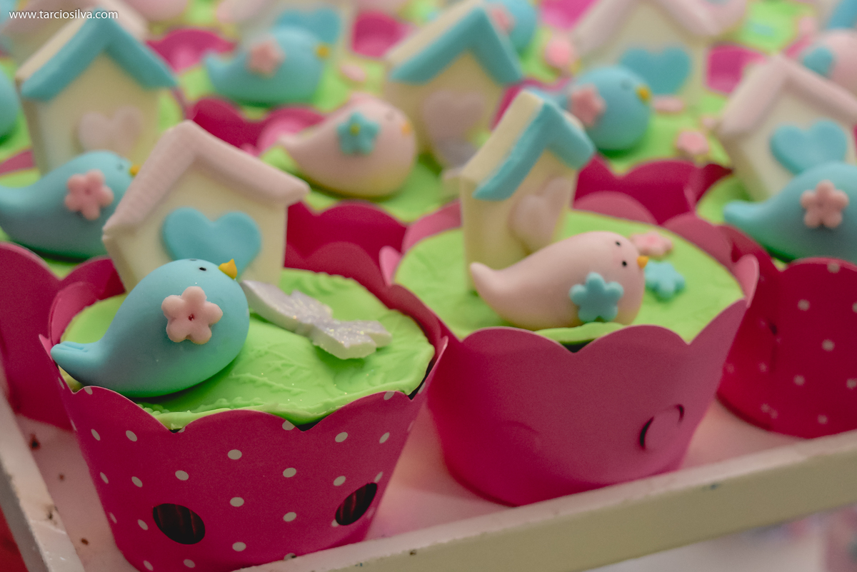 Festa de Aniversário no Shopping Tambiá , fotografia Tárcio Silva fotografo de santa rita em joão pessoa PB , fotografo