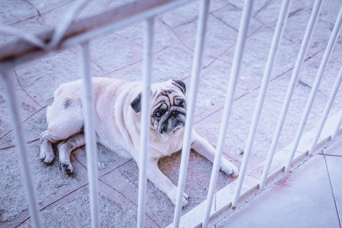 CASAMENTO DE DIA EUDES E MARIANA - MISSÃO BRAÇOS ABERTOS - SANTA RITA PB - FOTOGRAFO DE CASAMENTO EM SANTA RITA - PARAIBA BRASIL - FOTOGRAFO TARCIO SILVA DE CASAMENTOS
