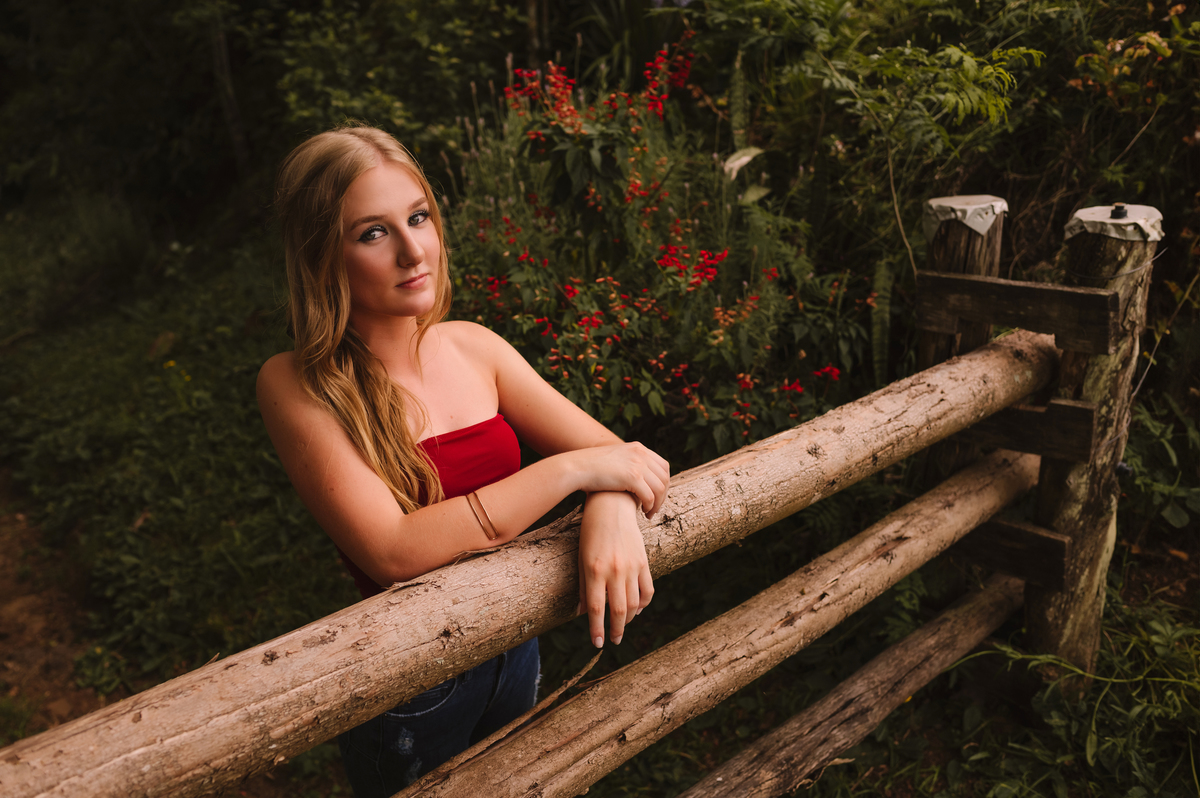 Ensaio externo de 15 anos com natureza, Tati Maldaner fotografia.