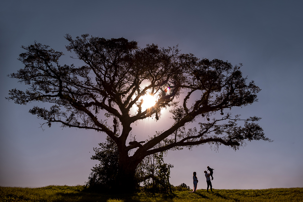 ensaio de gestante contra luz enbaixo da fiqueira por Thaty Maldaner Fotografia