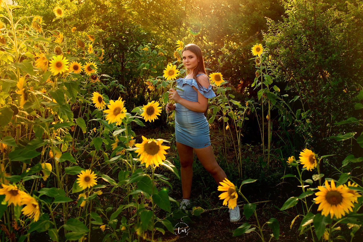 book fotográfico de 15 ano nos girações lajeado estrela Colinas