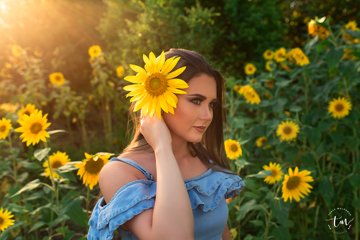 book de 15 ano nos girassol lajeado estrela Colinas