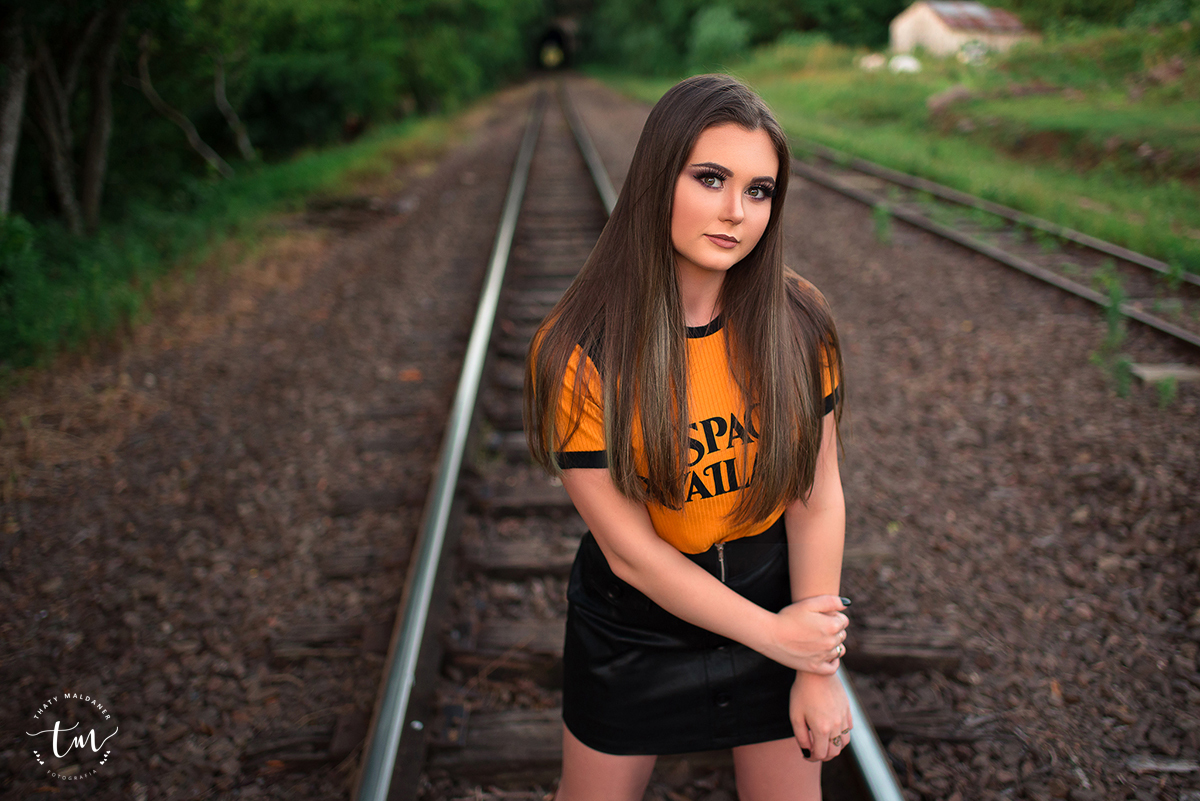 book 15 anos trilhos de trem