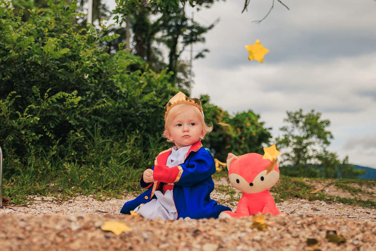 Ensaio Pequeno Príncipe