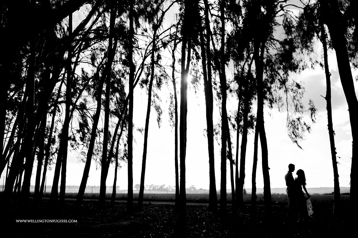 #ensaioemnatal #esession #engagementsession #ensaiodenoivos #noivadenatal #noiva #bride #noivas #noivasdenatal #noivinhas #casamento #casamentoemnatal #casamentobrasil #casamentosp #noivossp #noivario #noivasp #casamentosreais