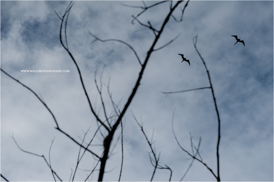 noiva, casamento, decoração casamento, ensaio de casamento, dicas de casamento, dicas para noivas, fotógrafos de casamento, melhores fotos de casamento, melhores fotografias de casamento, melhores fotos noiva, casamentos natal, casame