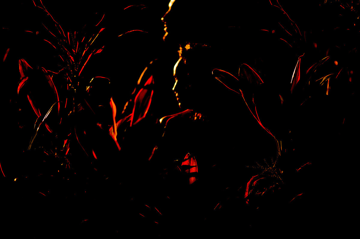 workshop de fotografia, photography workshop, masterclass, fotografia, aula de fotografia, curso de fotografia, curso gratuito de fotografia, workshop, aulas, fotografo, fotografia, photography, melhores fotos de casamento, melhores fotografos 