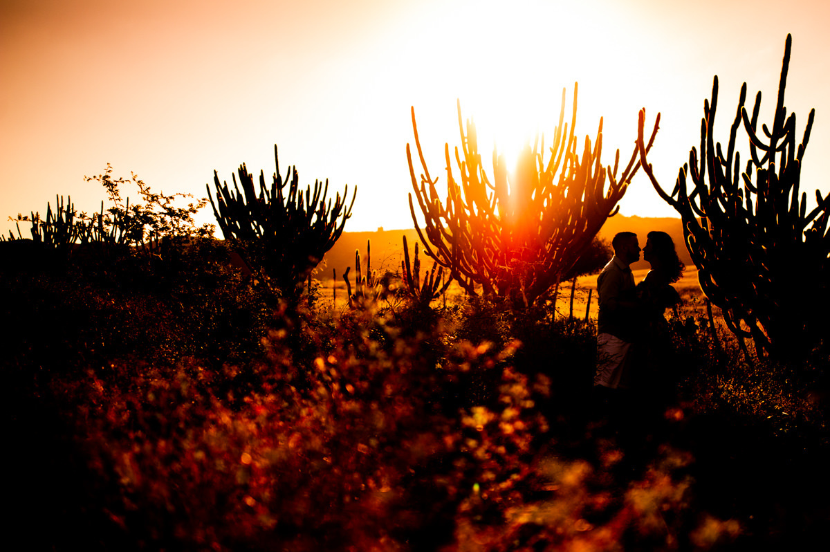 noiva recife, noiva natal, casamento natal, casamento recife, casamento joao pessoa, noiva joao pessoa, casamentos, noivas, vestida de noiva, noiva 2018, noiva 2019, melhores fotografos de casamento, melhores fotos de casamento, fornecedores casamento
