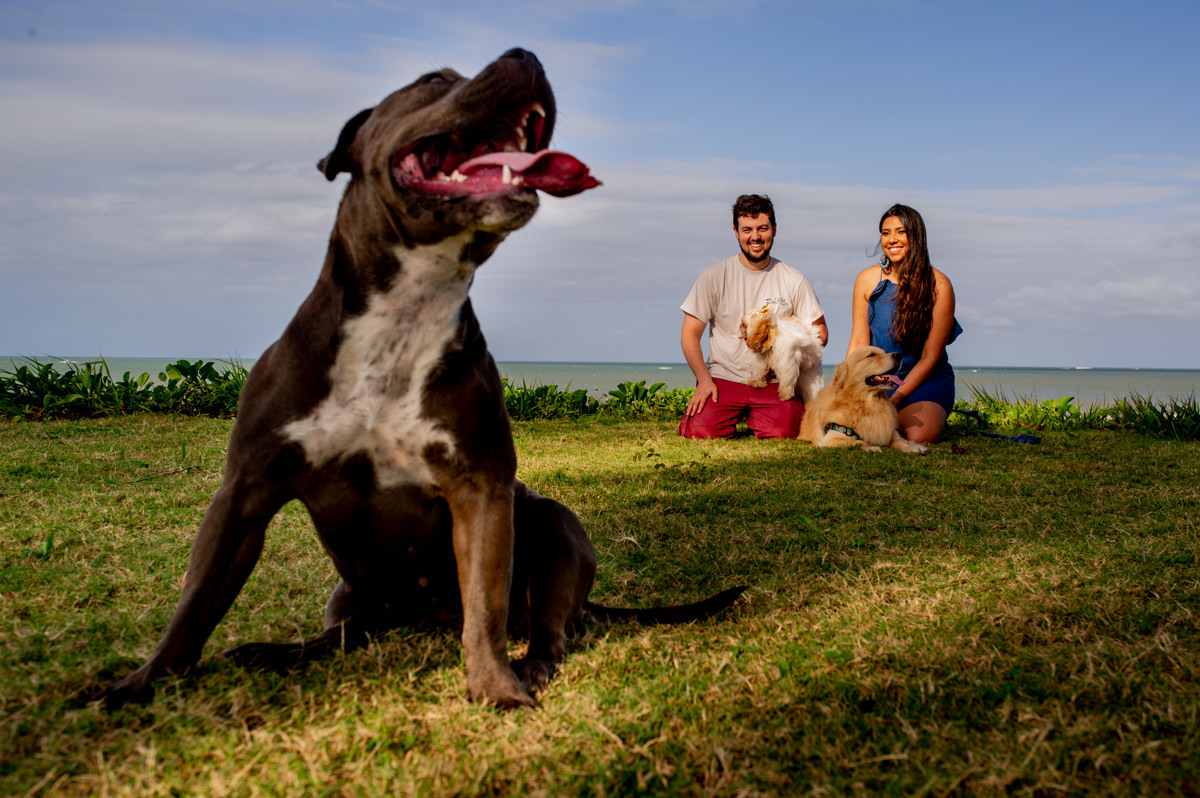 noiva recife, noiva natal, casamento natal, casamento recife, casamento joao pessoa, noiva joao pessoa, casamentos, noivas, vestida de noiva, noiva 2018, noiva 2019, melhores fotografos de casamento, melhores fotos de casamento, fornecedores casamento