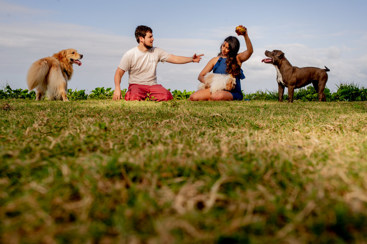 noiva recife, noiva natal, casamento natal, casamento recife, casamento joao pessoa, noiva joao pessoa, casamentos, noivas, vestida de noiva, noiva 2018, noiva 2019, melhores fotografos de casamento, melhores fotos de casamento, fornecedores casamento