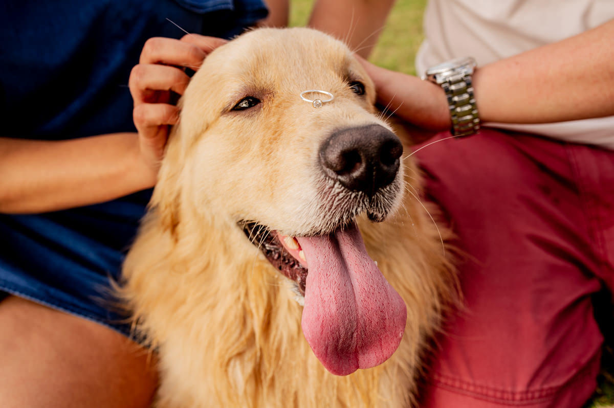 noiva recife, noiva natal, casamento natal, casamento recife, casamento joao pessoa, noiva joao pessoa, casamentos, noivas, vestida de noiva, noiva 2018, noiva 2019, melhores fotografos de casamento, melhores fotos de casamento, fornecedores casamento