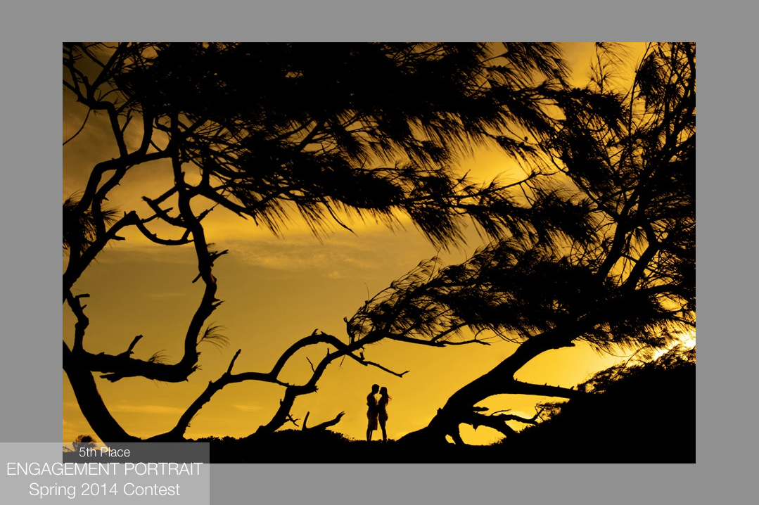 Foto premiada pela ISPWP - The International Society of Professional Wedding Photographers - www.ispwp.com