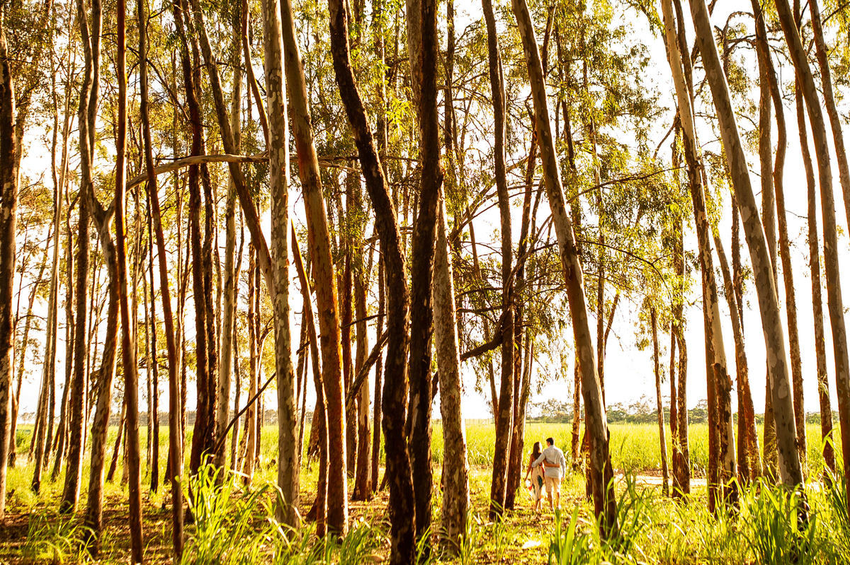 noiva de natal, noiva em natal, casamento em natal, fotografo de casamento natal, fotografia de casamento em natal, melhores fotografos de casamento em natal, fotografo natal, casamento natal rn, noiva natalense, festa de casamento em natal 