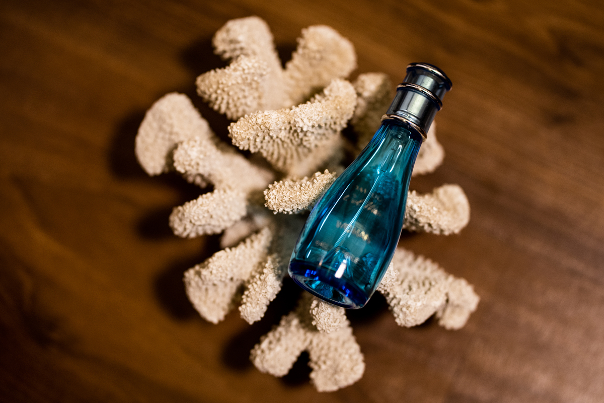 noiva recife, noiva natal, casamento natal, casamento recife, casamento joao pessoa, noiva joao pessoa, casamentos, noivas, vestida de noiva, noiva 2020, noiva 2019, melhores fotografos de casamento, melhores fotos de casamento, fornecedores casamento