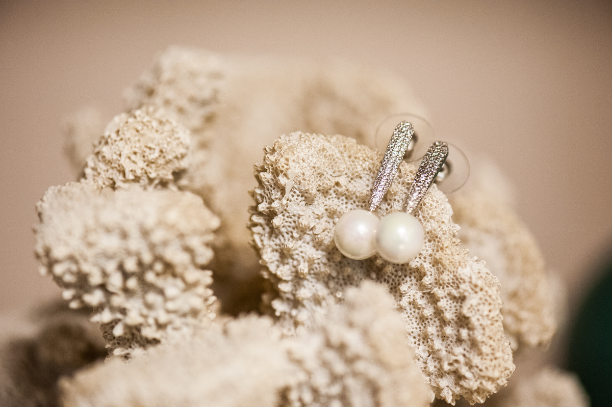 noiva recife, noiva natal, casamento natal, casamento recife, casamento joao pessoa, noiva joao pessoa, casamentos, noivas, vestida de noiva, noiva 2020, noiva 2019, melhores fotografos de casamento, melhores fotos de casamento, fornecedores casamento