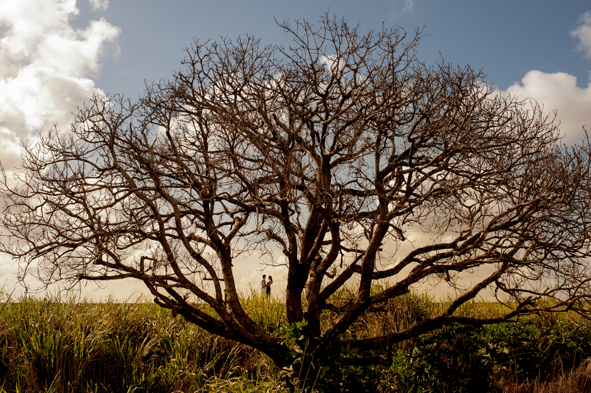 casamento natal, noiva natal, noiva, casamento, fotografo, fotografia, casamento em natal, casamento sp, casamento rj, fotografo casamento, fotografia casamento, noiva, vestido de noiva
