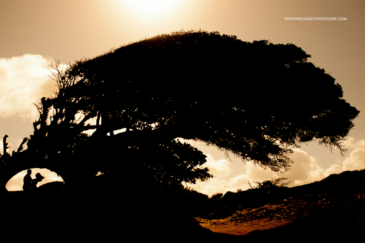 ensaio casamento natal, fotografo casamento natal, fotografia casamento natal, fotografos casamento natal, melhores fotos de casamento, melhores fotografos de casamento, fotos casamento