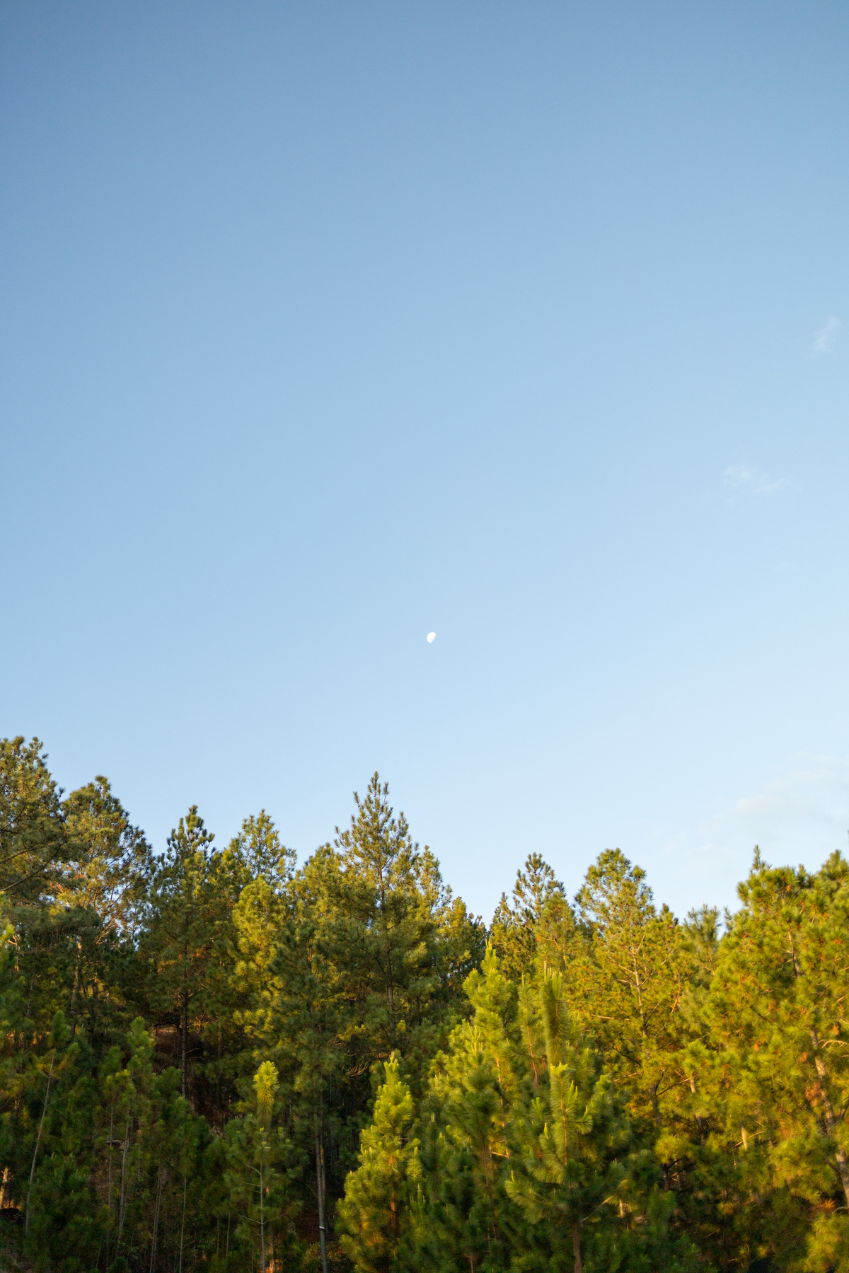 Pré wedding Asahi cabanas