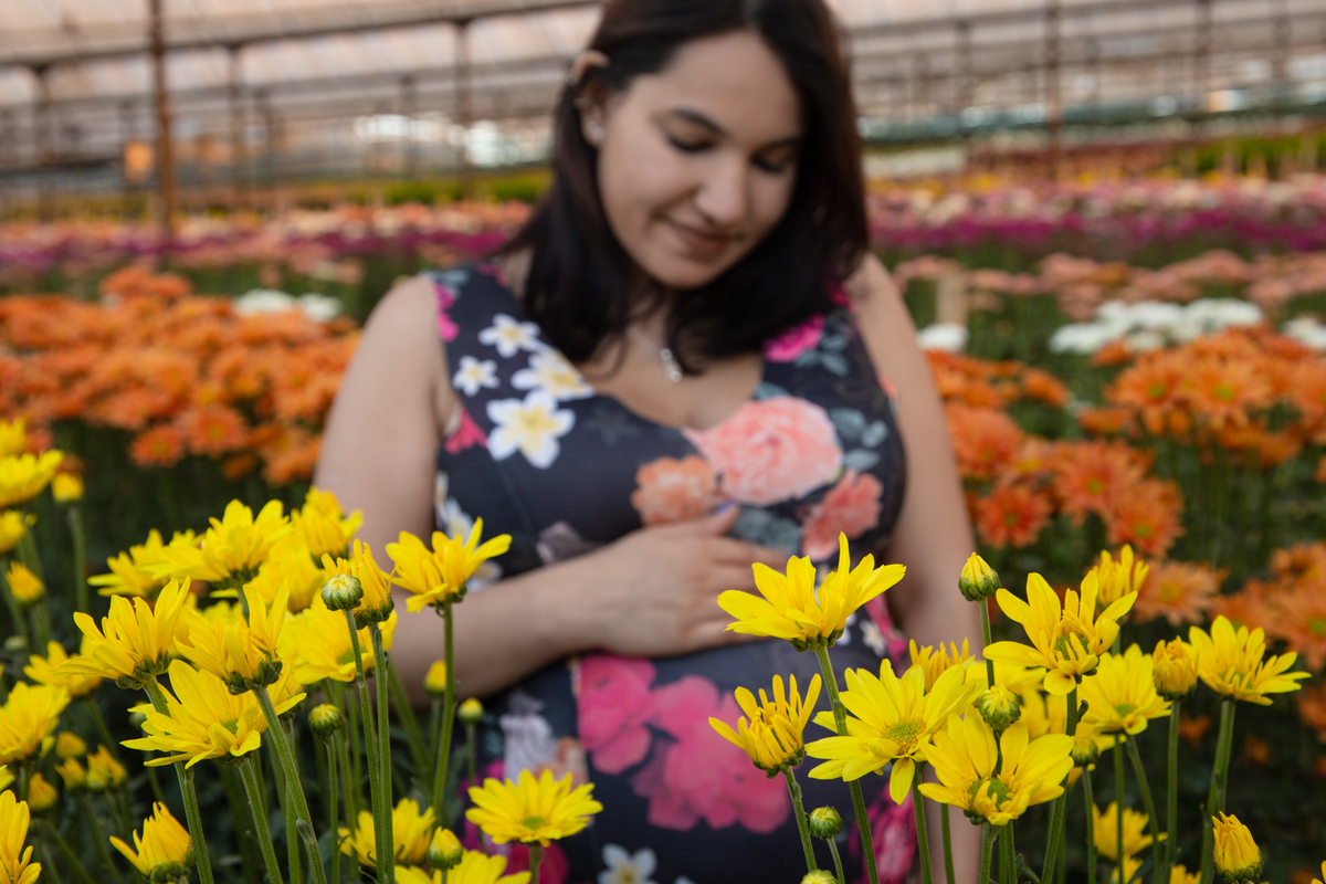  ensaio gestante holambra; ensaio gestante campo de girassol, ensaio gestante girassol, ensaio gestante, ensaio familia holambra, ensaio lifestyle, photometria fotos