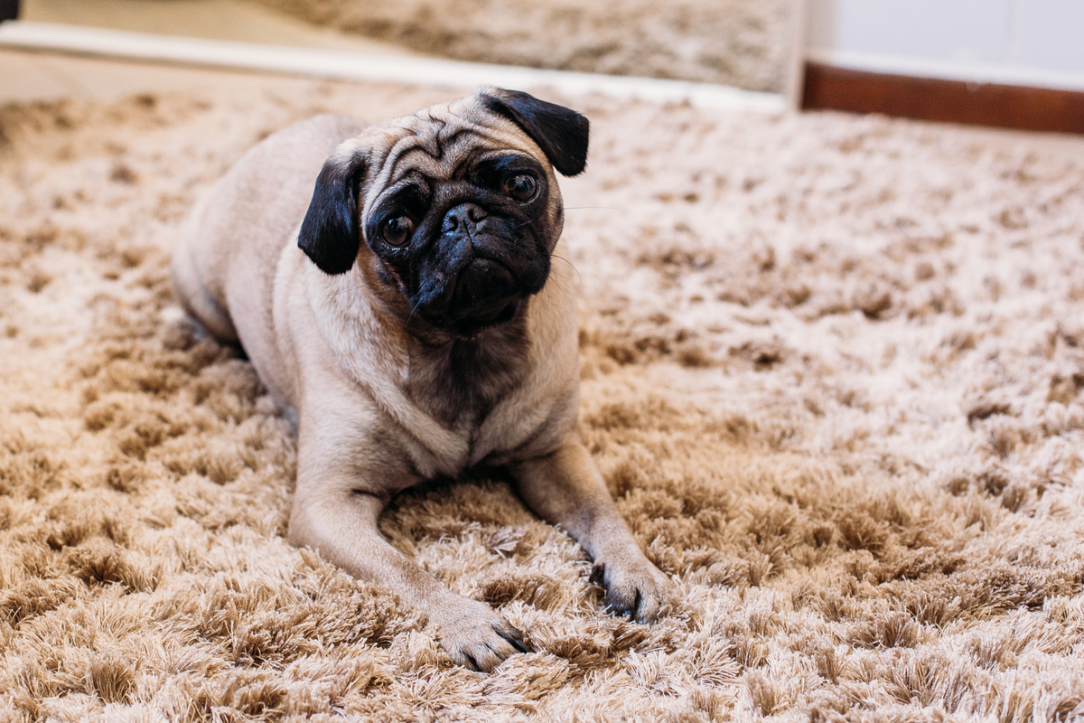 casamento; photometria; photometria fotos; fotografo santo andré; fotografo são paulo; sitio francilene; casamento mogi das cruzes; casamento janaina e rafael; casamento evangelico; cerimonia evangelica; casamento no campo; making of da noiva