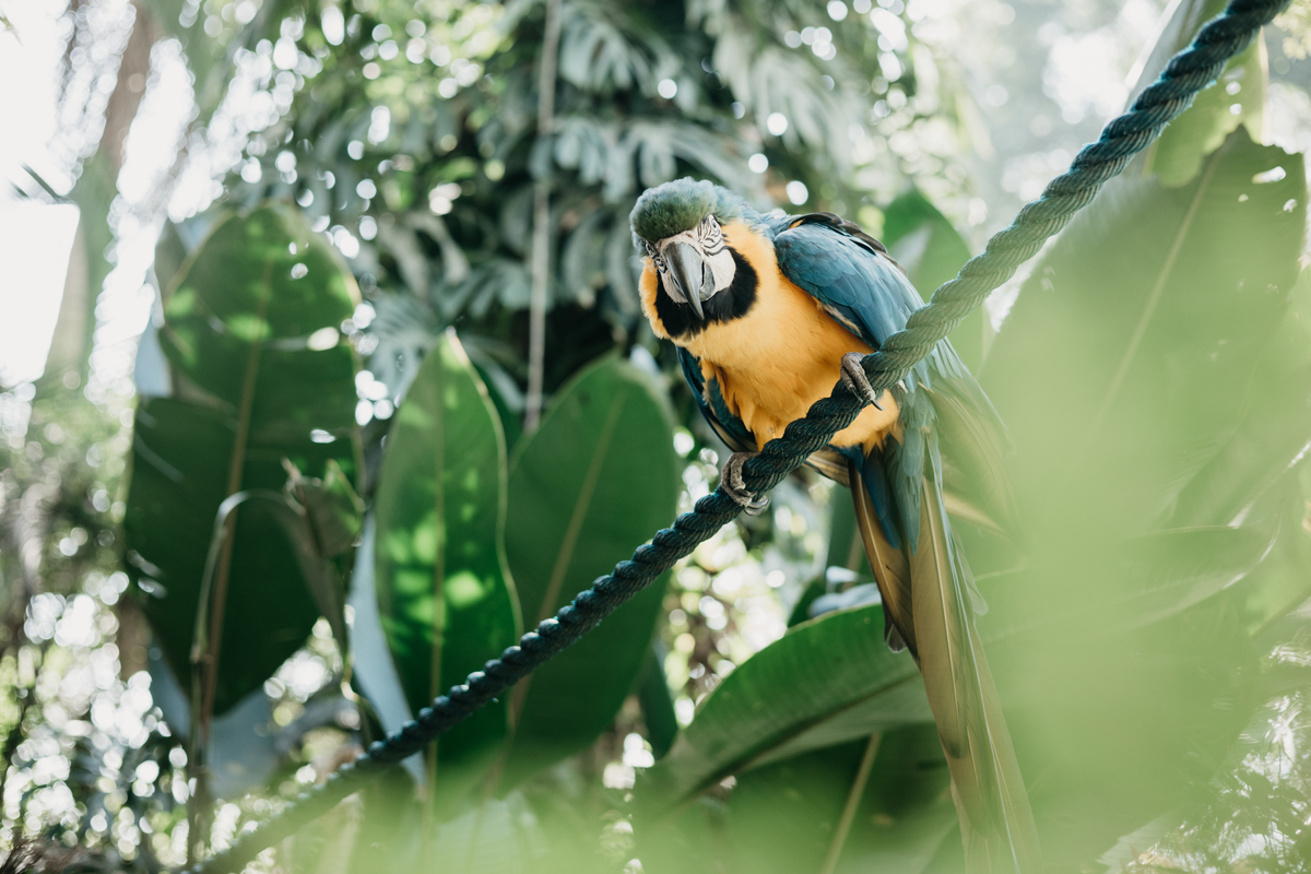 cerimonia católica, casamento no campo, photometria, photometria fotos, fotografo santo andré, fotografo são paulo, fotografia de casamento, filmagem de casamento, casamento, casamento itapecerica da serra, mombaça park, casamento luciane e renan