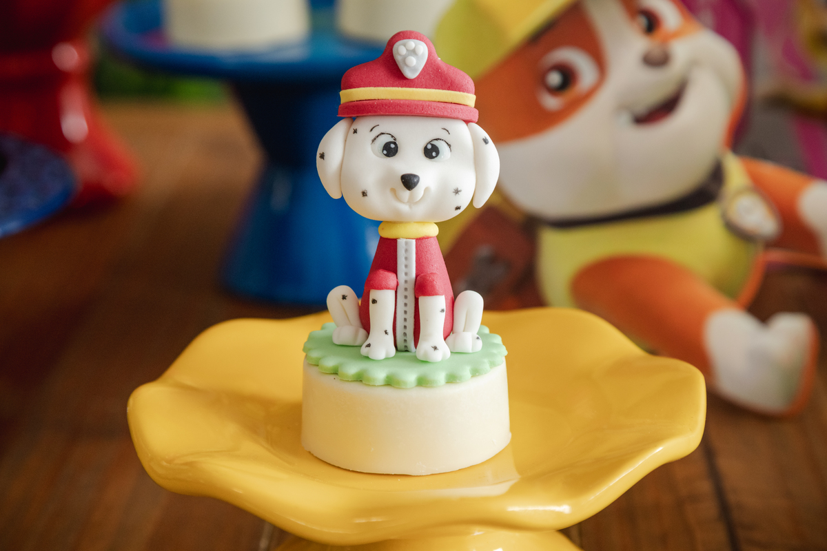 aniversario infantil, niver infantil, fotografia de familia, fotografo de familia, photometria fotos, aniversario francisco, niver francisco