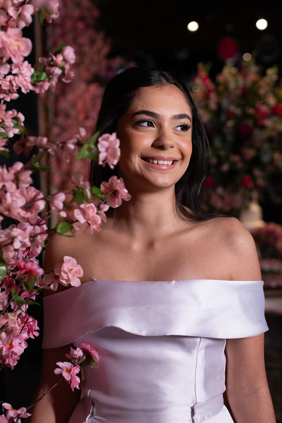 aniversario de 15 anos, aniversario debutante, debutante, 15 anos, photometria fotos, fotografo santo andré, fotografo são paulo, fotografia de familia, filmagem debutante, buffet allegro, fotografia debutante, fotografia 15 anos, filmagem 15 anos