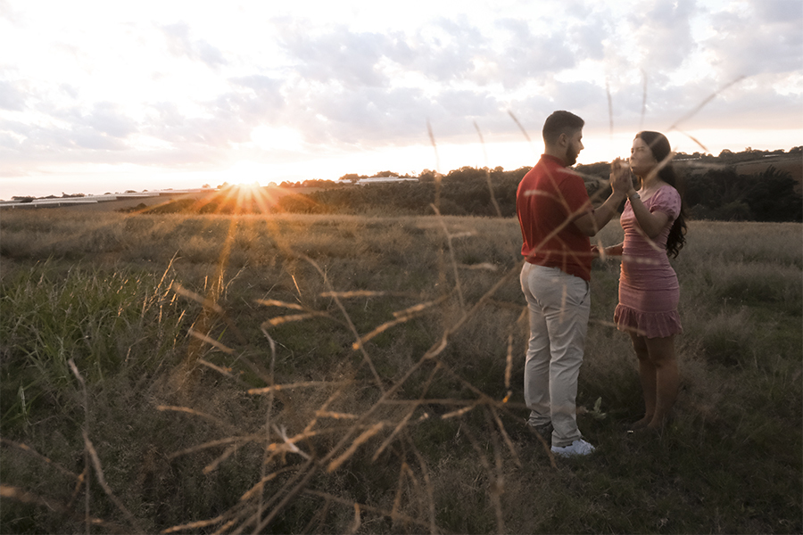 Ensaio holambra, pre wedding holambra, ensaio girassol, pre wedding girassol, ensaio no campo, pre wedding no campo, pre wedding giovanna e wendrey