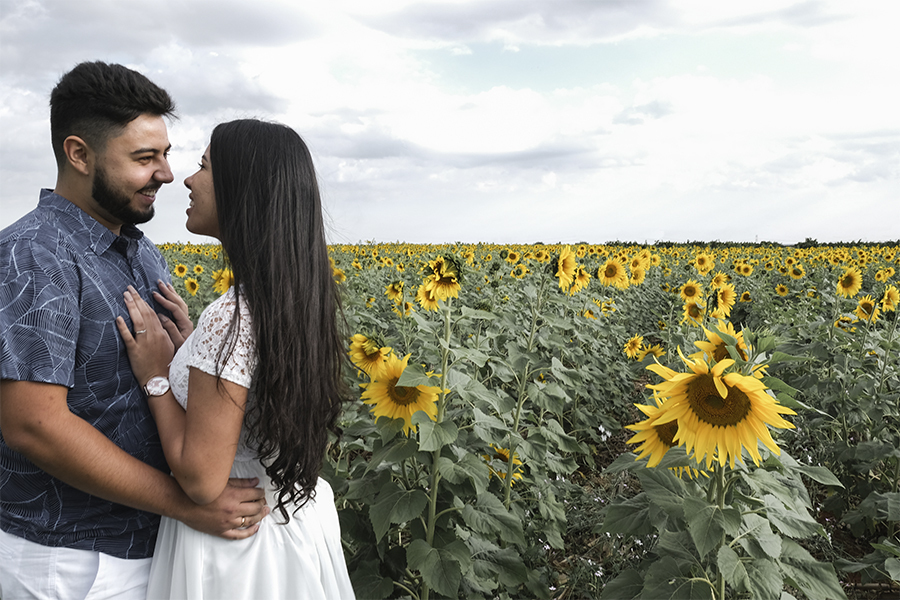 Ensaio holambra, pre wedding holambra, ensaio girassol, pre wedding girassol, ensaio no campo, pre wedding no campo, pre wedding giovanna e wendrey