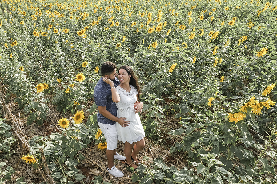 Ensaio holambra, pre wedding holambra, ensaio girassol, pre wedding girassol, ensaio no campo, pre wedding no campo, pre wedding giovanna e wendrey