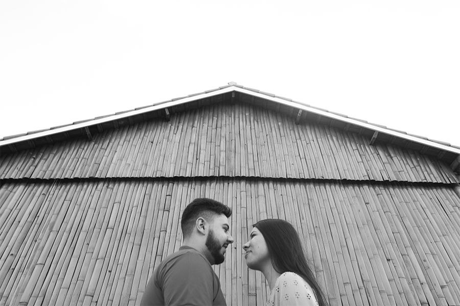 Ensaio holambra, pre wedding holambra, ensaio girassol, pre wedding girassol, ensaio no campo, pre wedding no campo, pre wedding giovanna e wendrey
