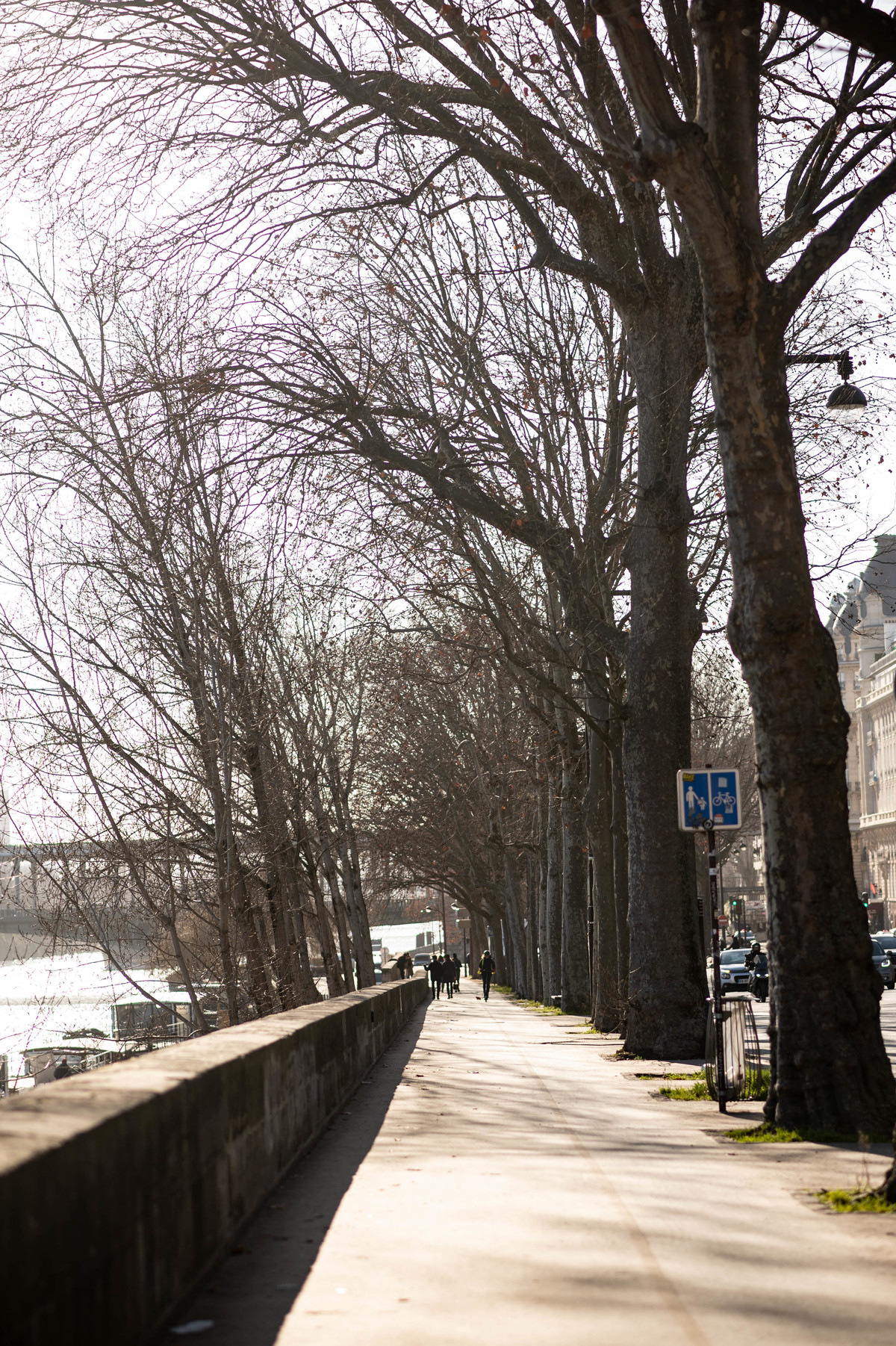 fotógrafo de casamento