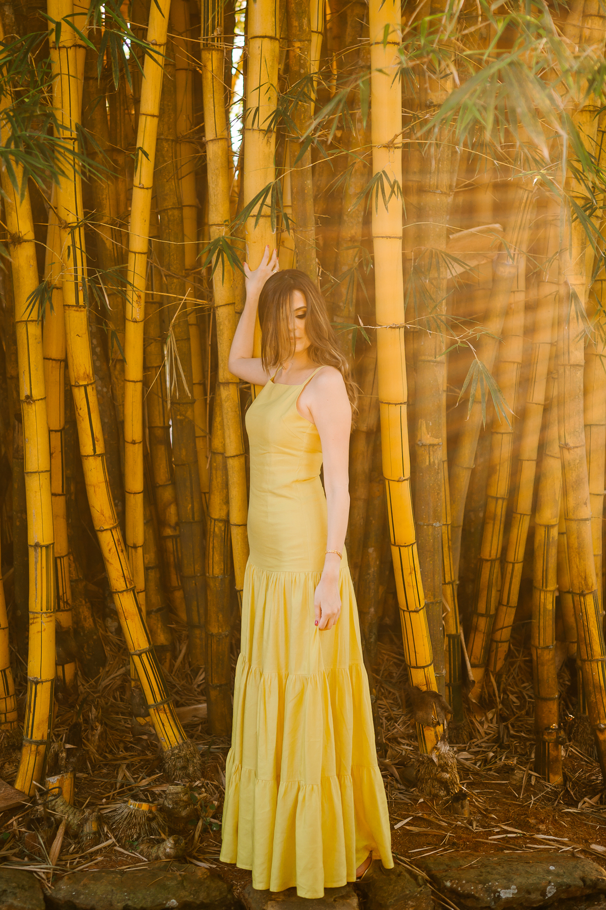 casa da ana brasilia