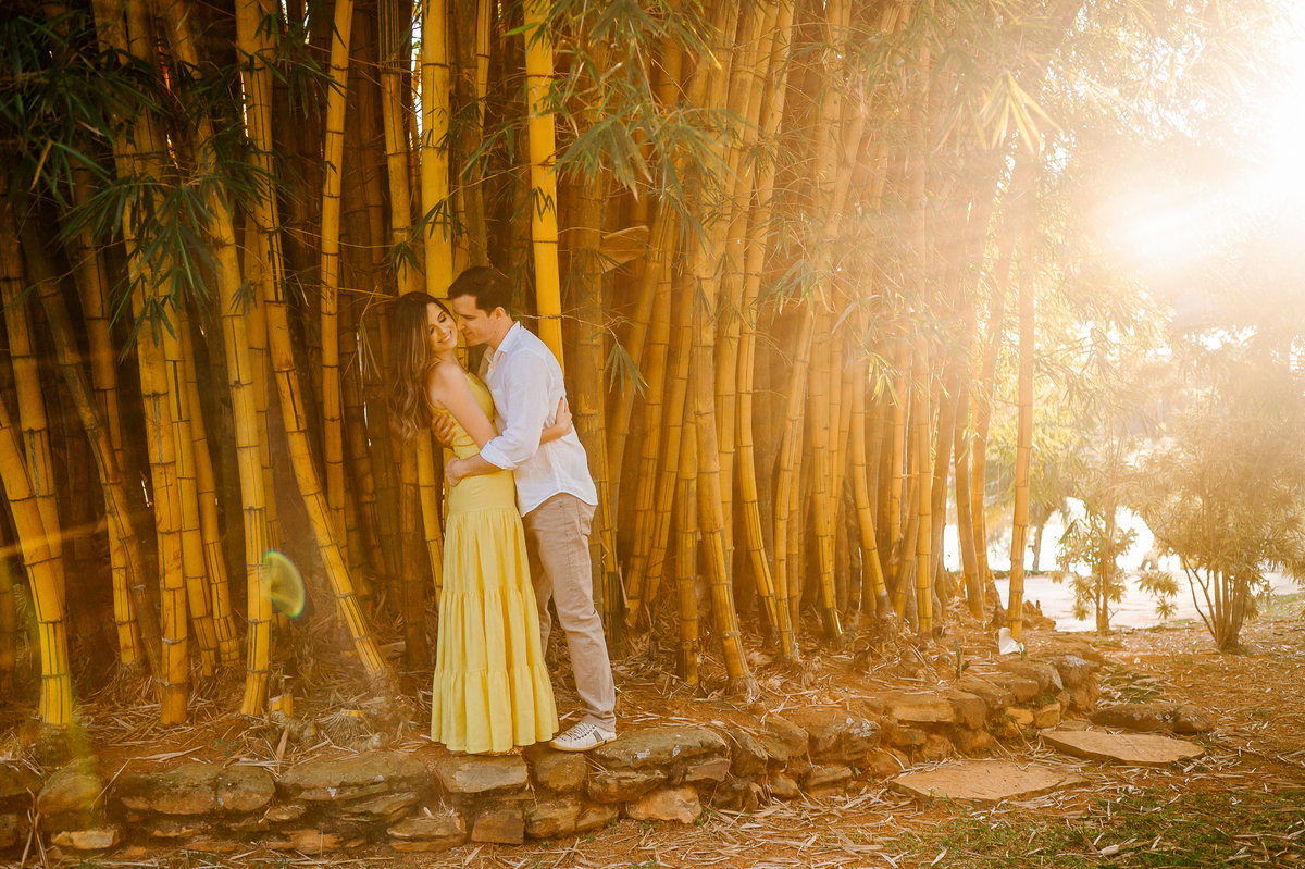 casa da ana brasilia