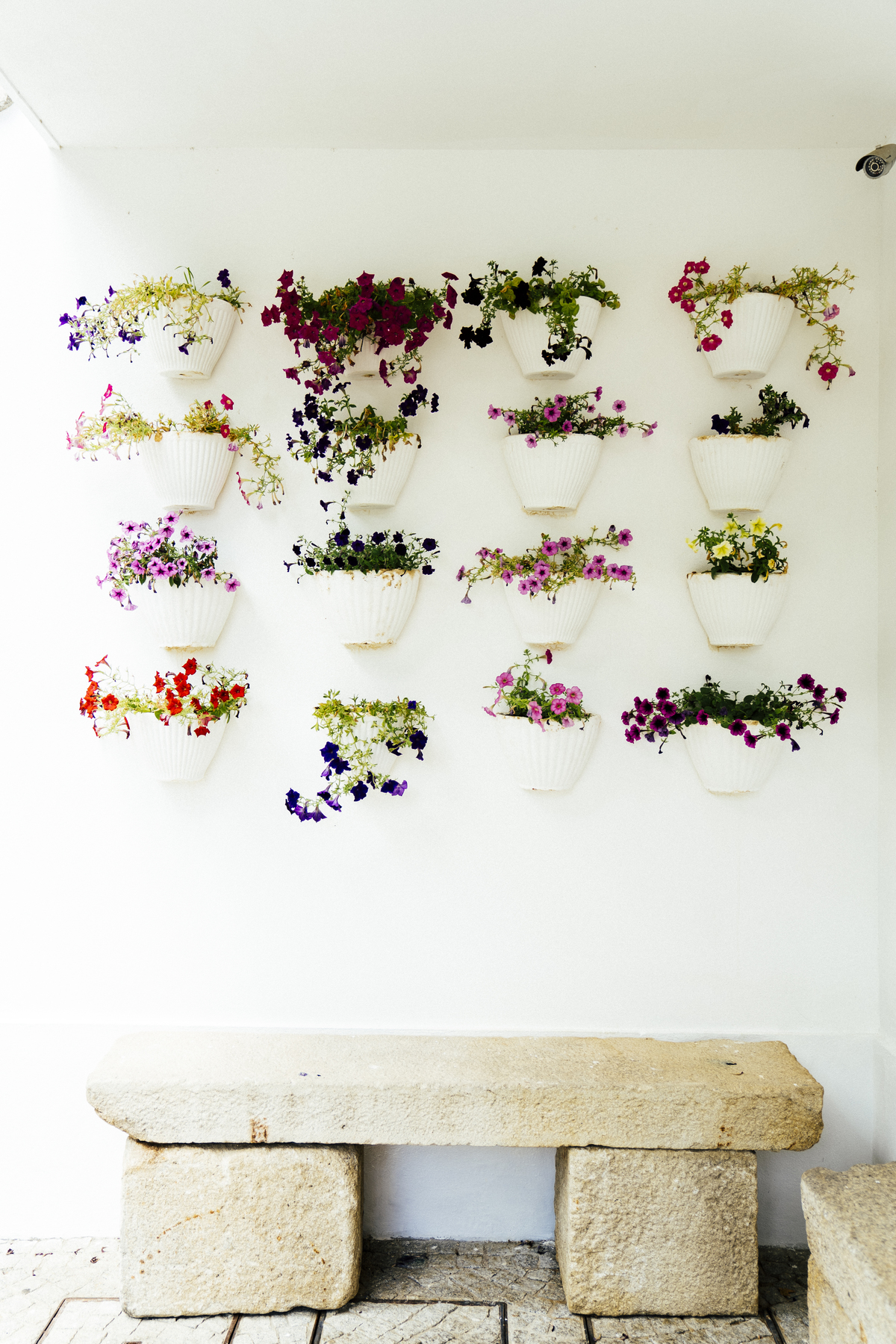 fotografia,fotografo,porto,sessão solteiros,vale da corga,portugal, porto, guccie,valentino,heldercoutophoto,helder couto fotografo, wedding, inspiration,espanha,frança,lisboa,bear,amor,felicidade,prada,luxo,sessão,engagement,alboom,quinta da pacheca, 