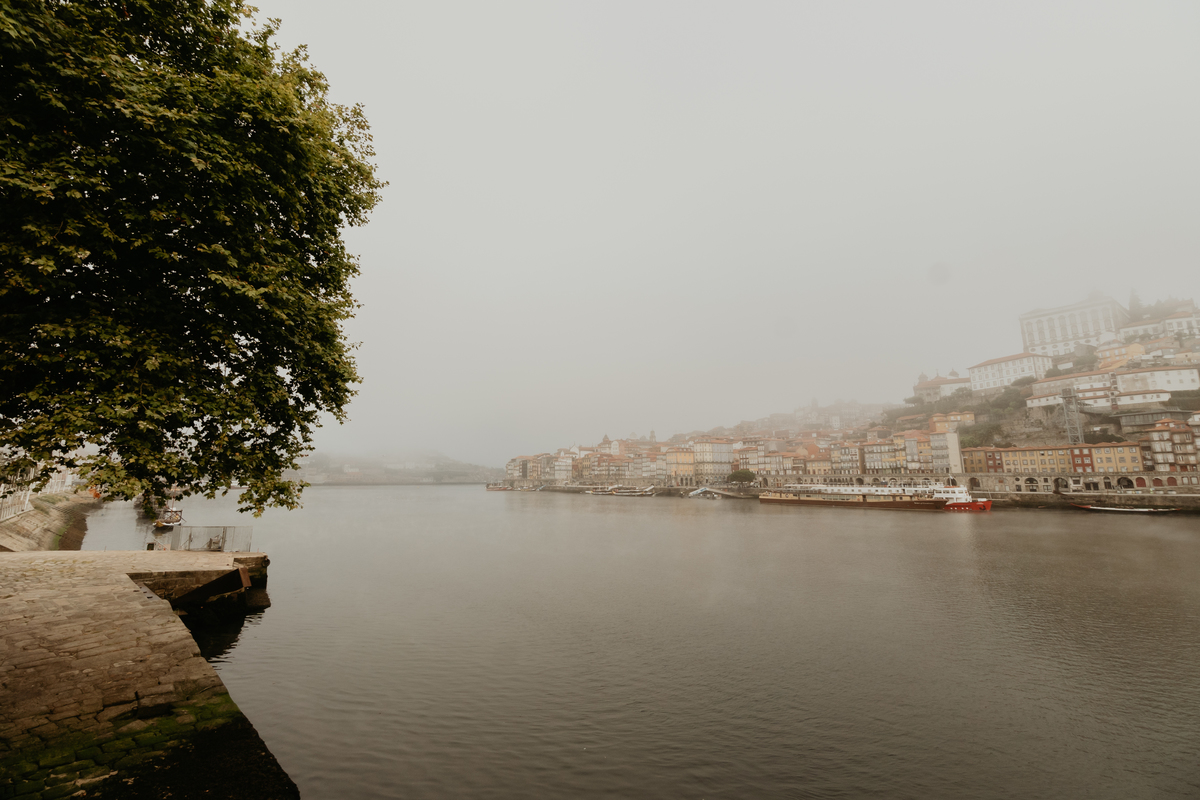 fotografia,guimaraes,nproduçoes,vale da corga., wedding, porto , portugal,lisboa,heldercoutophoito,helder couto fotografo,bestwedding, bewstphotogrtapher,weddingphotographer,video ,casamento guimaraes, movie, luxury, setlounge