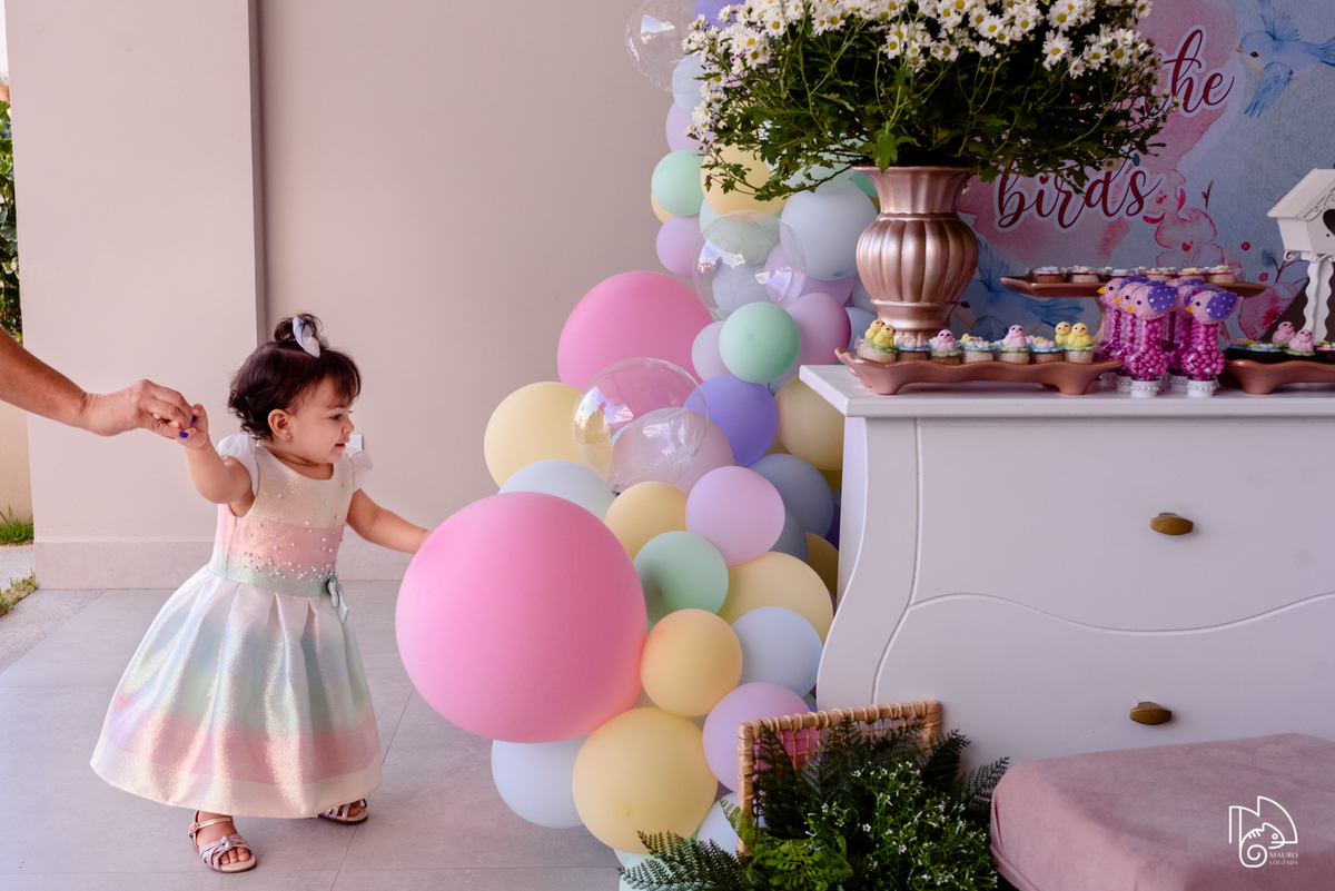 níver elis, aniversário infantil, 1 ano da elis, fotos do aniversário da elis, festinha infantil, festa em família, mauro louzada fotografia, sua história minhas fotos, fotógrafo aracruz, fotógrafo de casamento, fotógrafo de família, níver aracruz