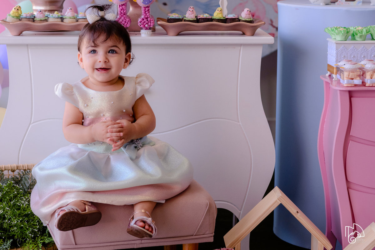 níver elis, aniversário infantil, 1 ano da elis, fotos do aniversário da elis, festinha infantil, festa em família, mauro louzada fotografia, sua história minhas fotos, fotógrafo aracruz, fotógrafo de casamento, fotógrafo de família, níver aracruz