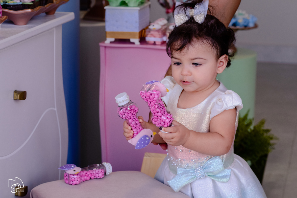 níver elis, aniversário infantil, 1 ano da elis, fotos do aniversário da elis, festinha infantil, festa em família, mauro louzada fotografia, sua história minhas fotos, fotógrafo aracruz, fotógrafo de casamento, fotógrafo de família, níver aracruz