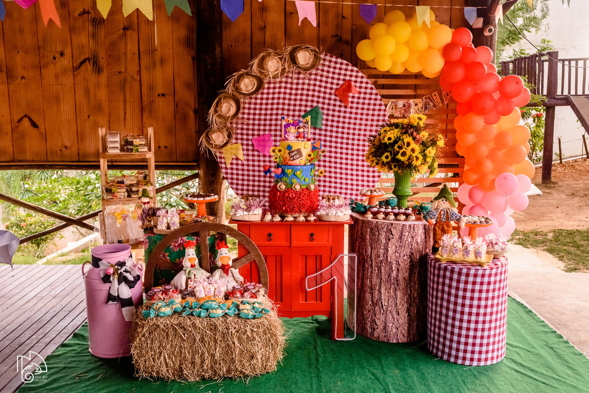 níver elis, aniversário infantil, 1 ano da elis, fotos do aniversário da elis, festinha infantil, festa em família, mauro louzada fotografia, sua história minhas fotos, fotógrafo aracruz, fotógrafo de casamento, fotógrafo de família, níver joão neiva