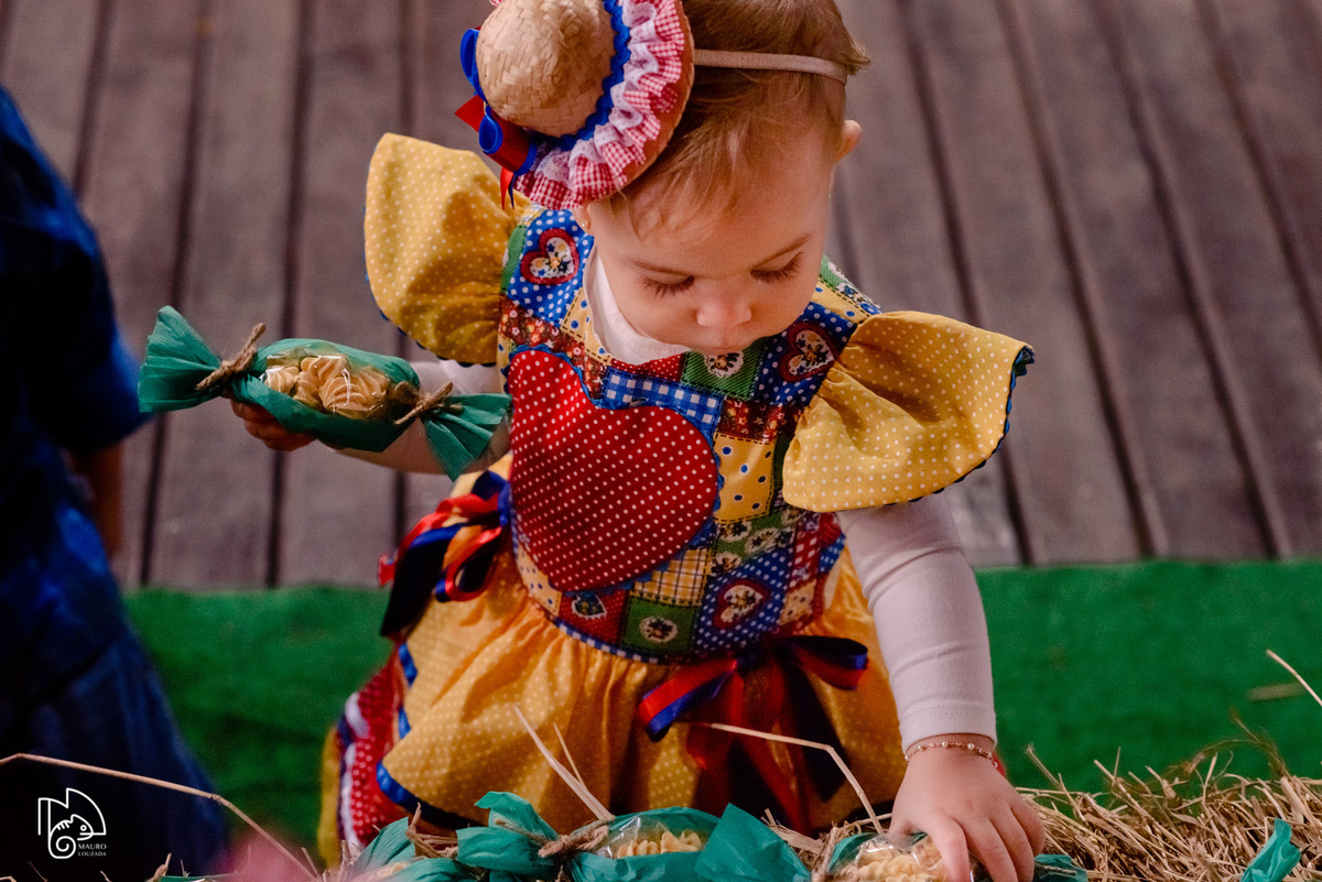 níver elis, aniversário infantil, 1 ano da elis, fotos do aniversário da elis, festinha infantil, festa em família, mauro louzada fotografia, sua história minhas fotos, fotógrafo aracruz, fotógrafo de casamento, fotógrafo de família, níver joão neiva