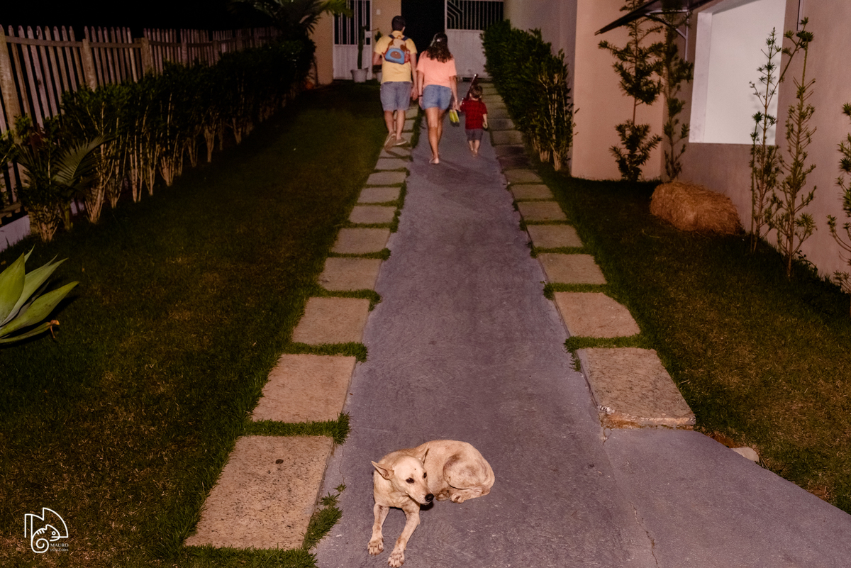 níver lucca, aniversário infantil, 3 anos do lucca, fotos do aniversário do lucca, festinha infantil, festa em família, mauro louzada fotografia, sua história minhas fotos, fotógrafo aracruz, fotógrafo de casamento, fotógrafo de família, níver aracruz