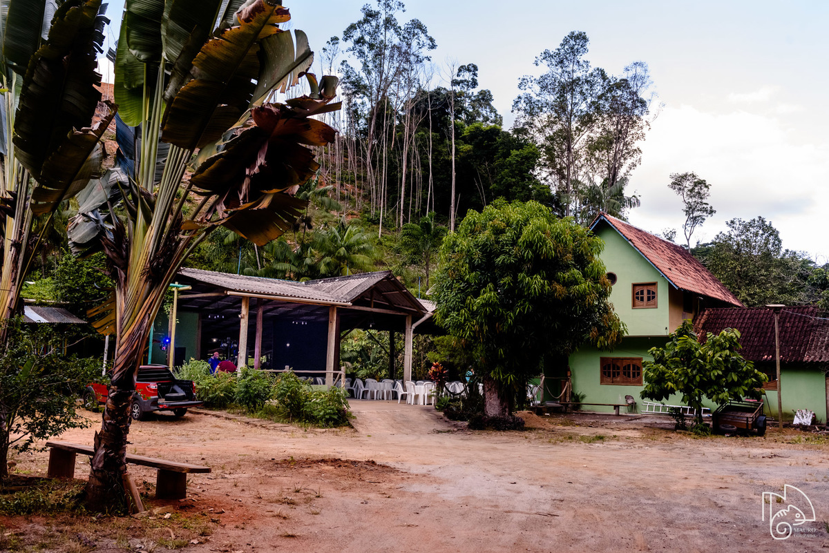 silvina demuner, d. silvina fez 89, níver silvina demuner, família demuner, fotos do aniversário da silvina demuner, festa em ibiraçú, cerimonial conti della, mauro louzada fotografia, sua história minhas fotos, fotógrafo aracruz, fotografia documental, 