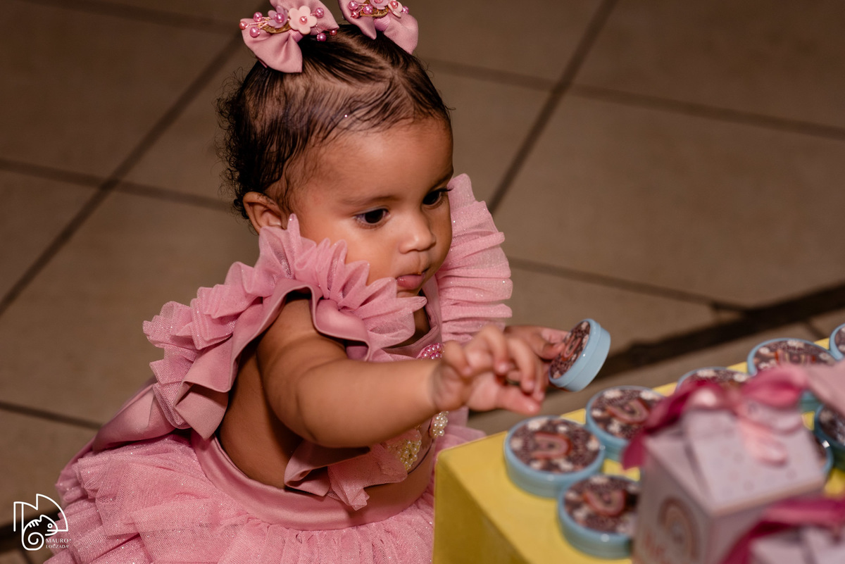 níver heloisa, aniversário infantil, 1 ano da heloisa, fotos do aniversário da heloisa, festa infantil, festa em família, mauro louzada fotografia, sua história minhas fotos, fotógrafo aracruz, fotógrafo de casamento, fotógrafo de família, níver aracruz