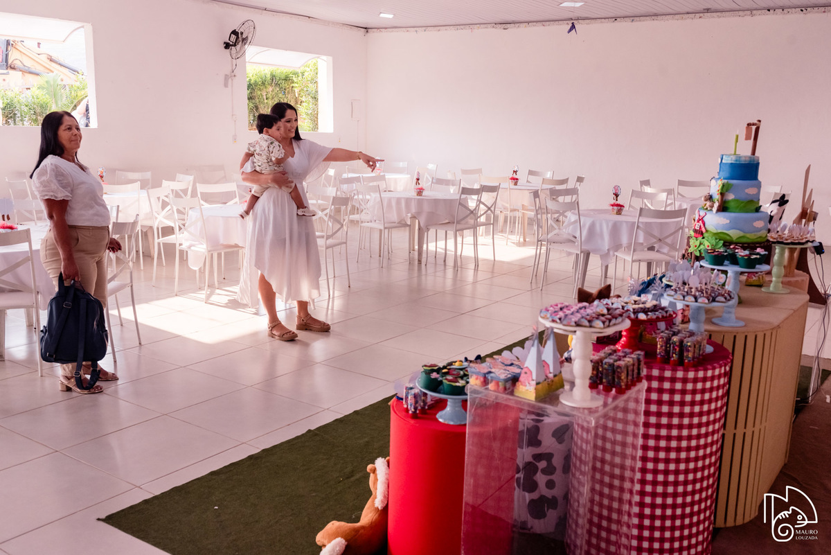 níver Lucca Toni, aniversário infantil, 1 ano do Lucca Toni, fotos do aniversário do Lucca Toni, festa infantil, festa em família, mauro louzada fotografia, sua história minhas fotos, fotógrafo aracruz, fotógrafo de casamento, fotógrafo de família