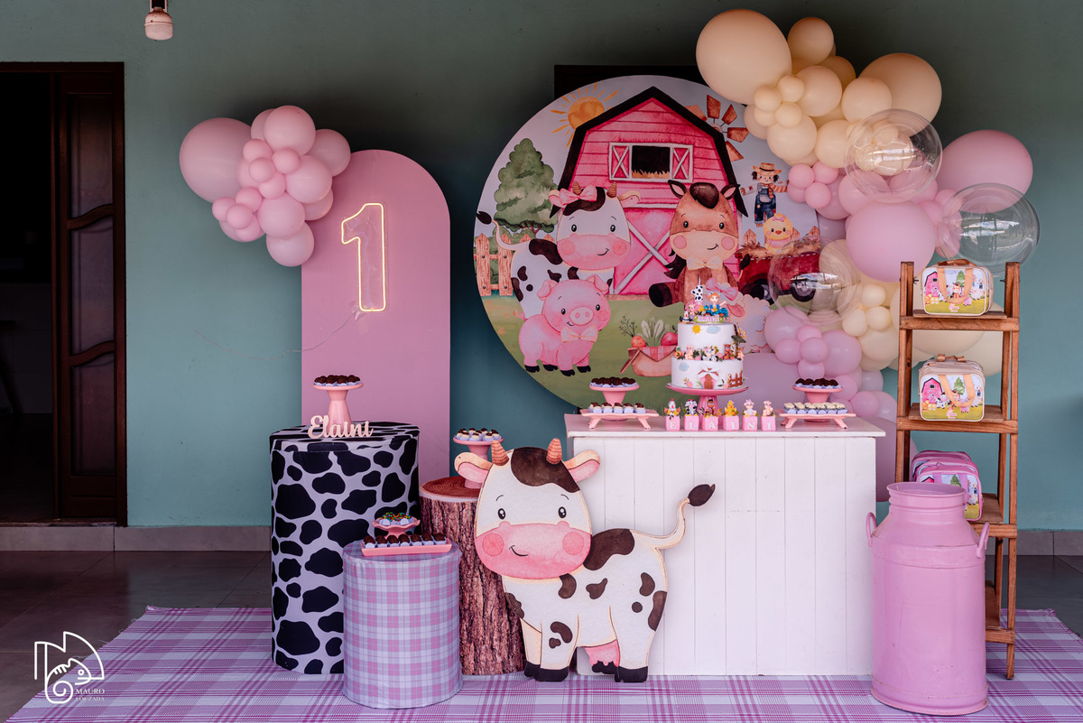 níver Elaini, aniversário infantil, 1 ano da Elaini, fotos do aniversário da Elaini, festa infantil, festa em família, festa no campo, mauro louzada fotografia, sua história minhas fotos, fotógrafo aracruz, fotógrafo de casamento, fotógrafo de família