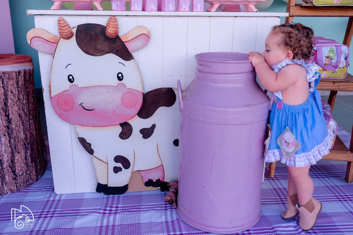 níver Elaini, aniversário infantil, 1 ano da Elaini, fotos do aniversário da Elaini, festa infantil, festa em família, festa no campo, mauro louzada fotografia, sua história minhas fotos, fotógrafo aracruz, fotógrafo de casamento, fotógrafo de família